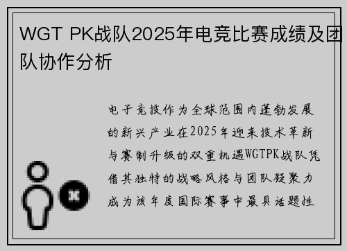 WGT PK战队2025年电竞比赛成绩及团队协作分析